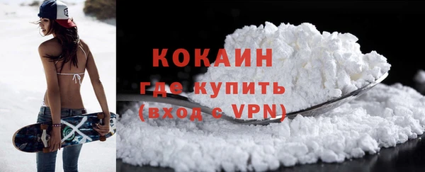 стафф Аркадак