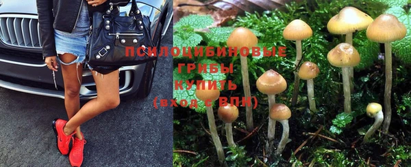 ALPHA-PVP Арсеньев
