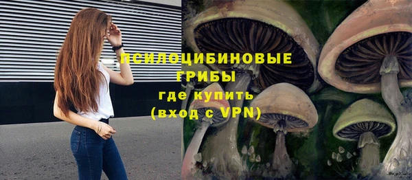 твердый Армянск