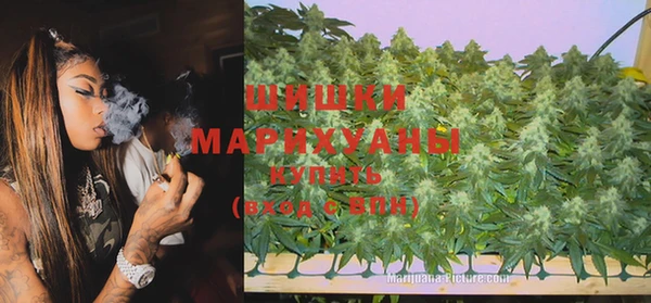 стафф Аркадак
