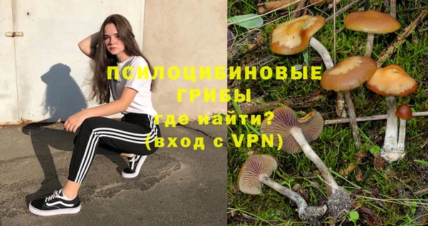 ALPHA-PVP Арсеньев