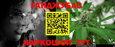 гашик Кулебаки