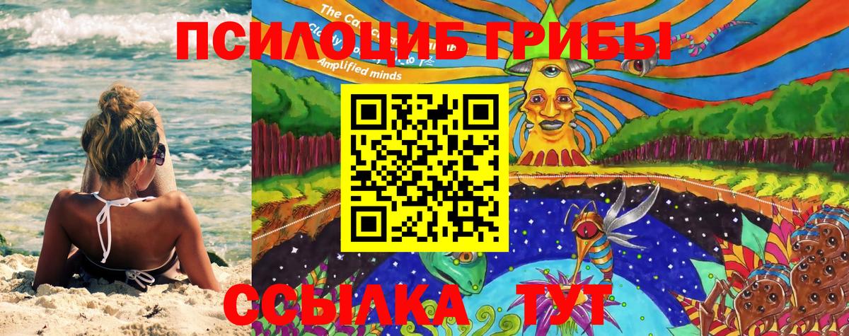 Псилоцибиновые грибы прущие грибы Георгиевск