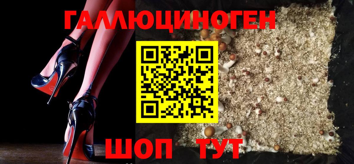 Георгиевск  Галлюциногенные грибы Psilocybine cubensis  Вход с VPN 